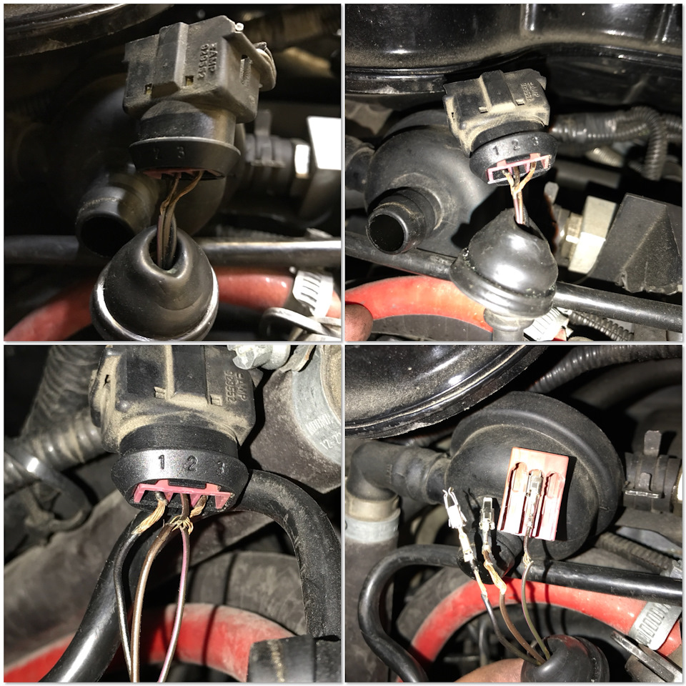 Залез немного в лес — партизаны, мать их😭 — Audi Allroad (C5)