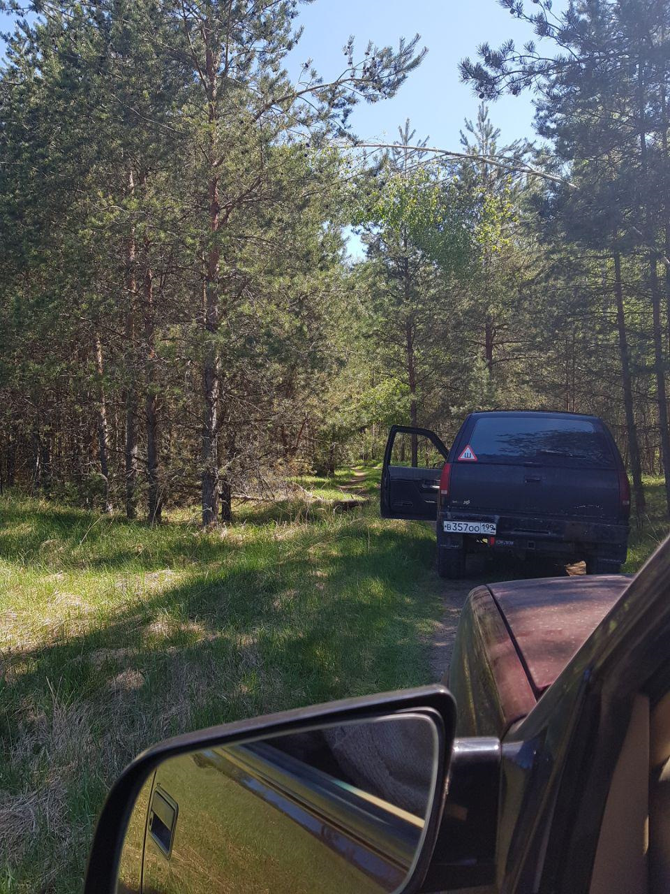 На лугу пасутся во-волки. Поездка сроком в один выходной, Воскресенск —  Chevrolet Tahoe (GMT400), 5,7 л, 1995 года | путешествие | DRIVE2