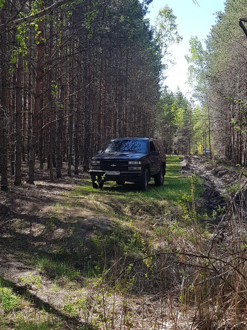 На лугу пасутся во-волки. Поездка сроком в один выходной, Воскресенск —  Chevrolet Tahoe (GMT400), 5,7 л, 1995 года | путешествие | DRIVE2