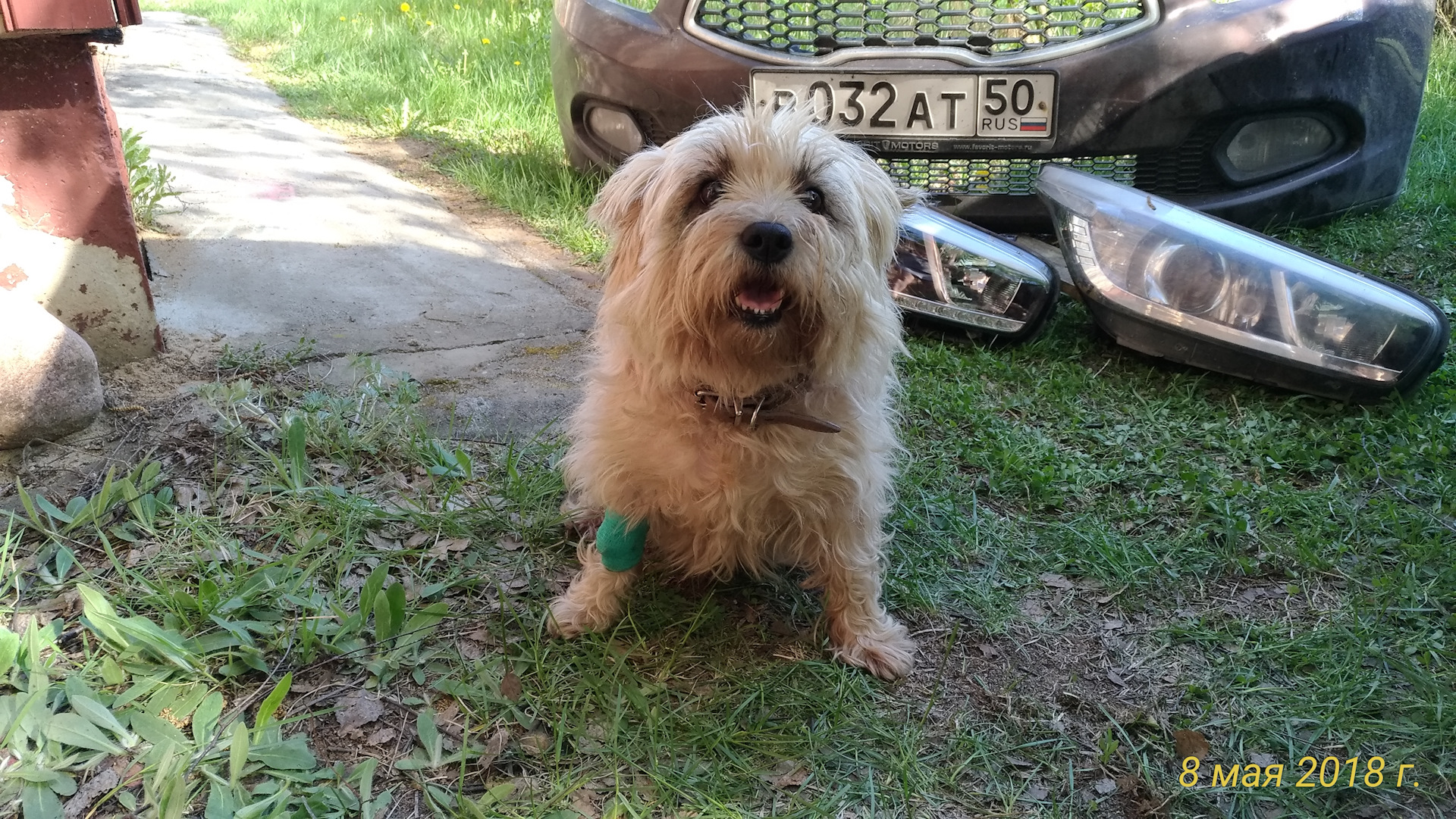 Штатные ксеноновые фары вместо галогена установка ч. 2.2 — KIA Ceed SW ...