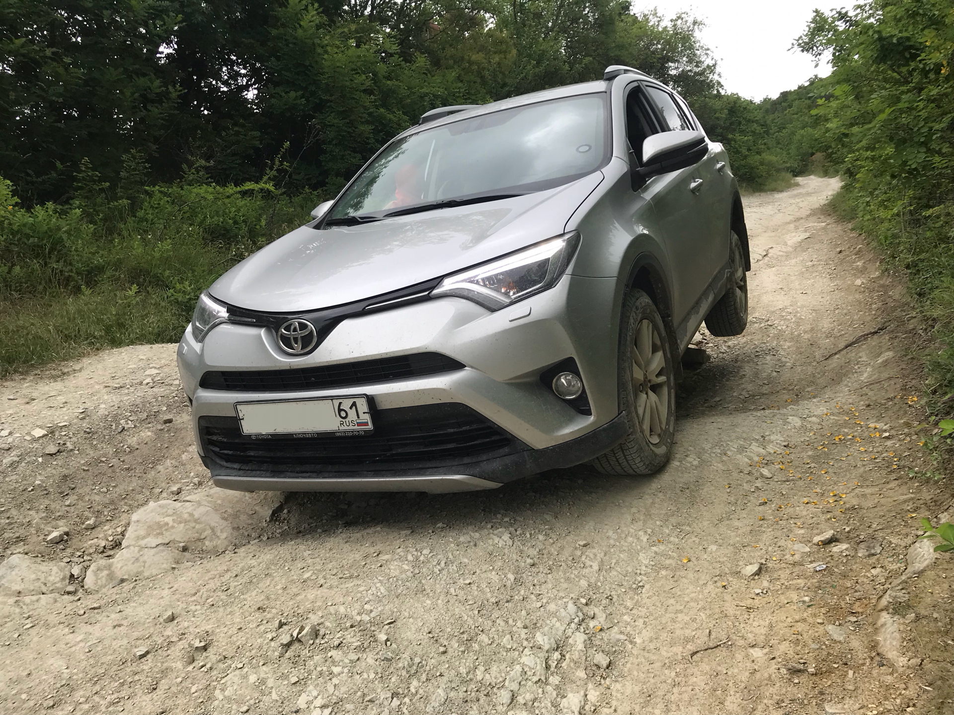 Заповедная дорога Сукко — Абрау Дюрсо — Toyota RAV4 (IV), 2,2 л, 2017 года  | покатушки | DRIVE2