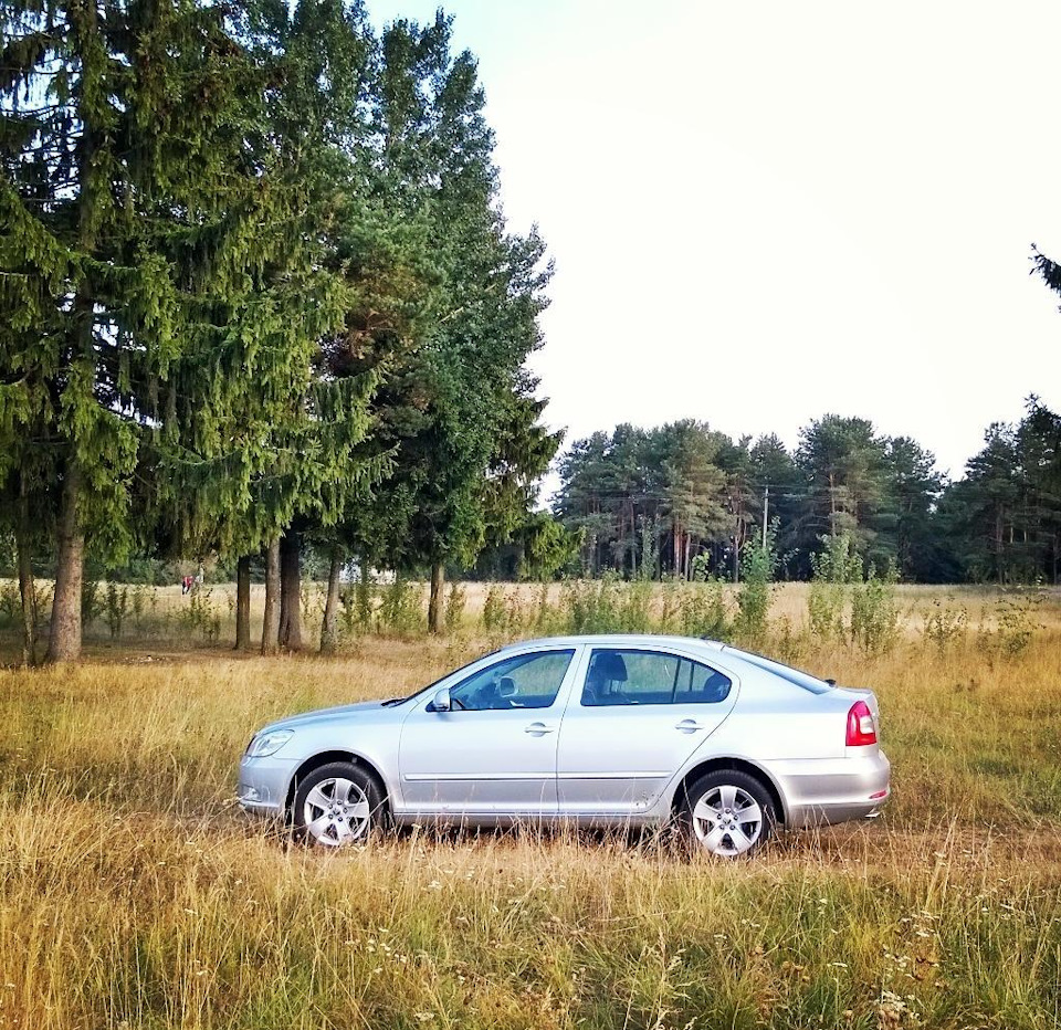 Фото в бортжурнале Skoda Octavia Mk2