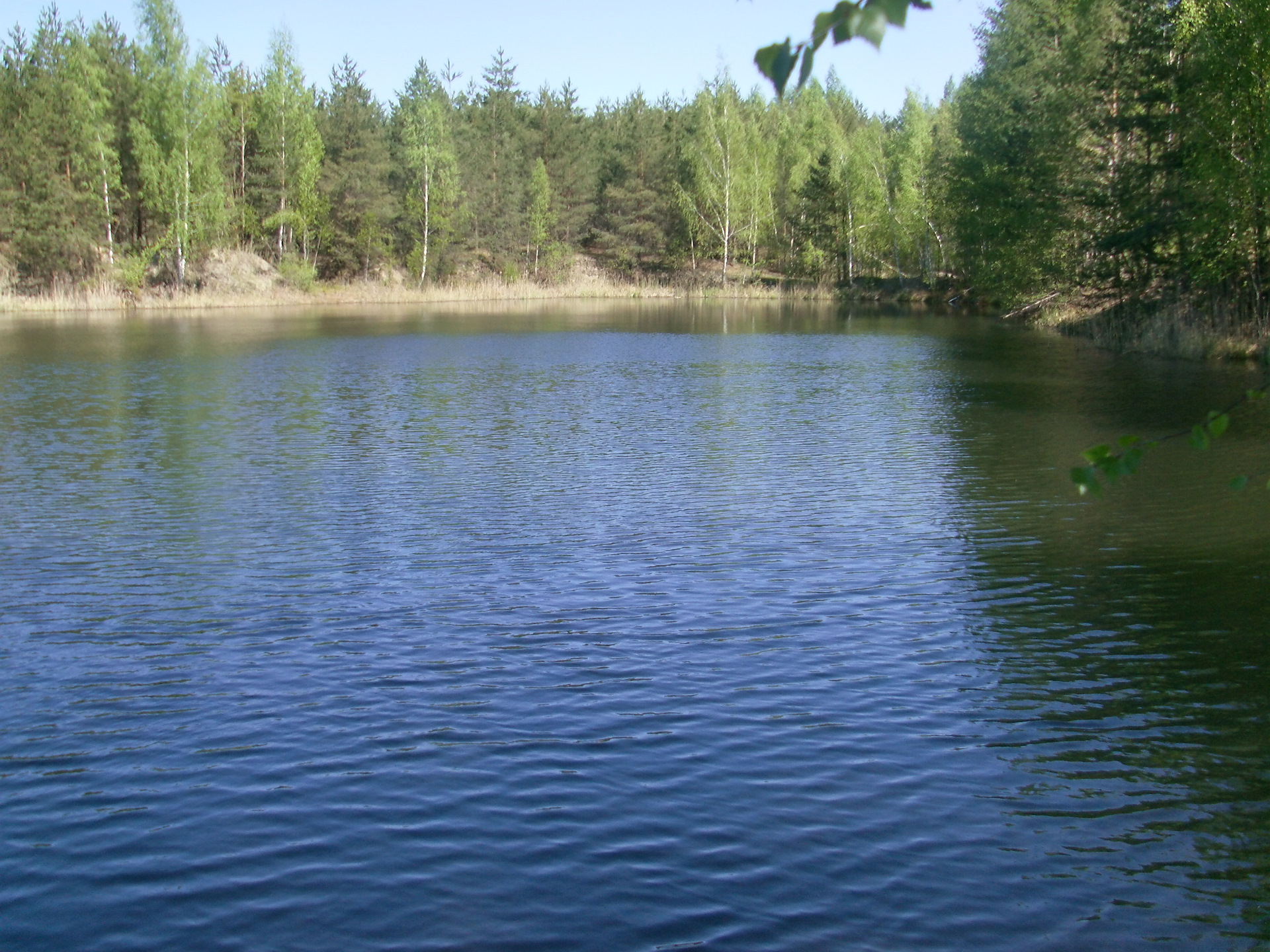 Озеро в Воскресенске Московской области