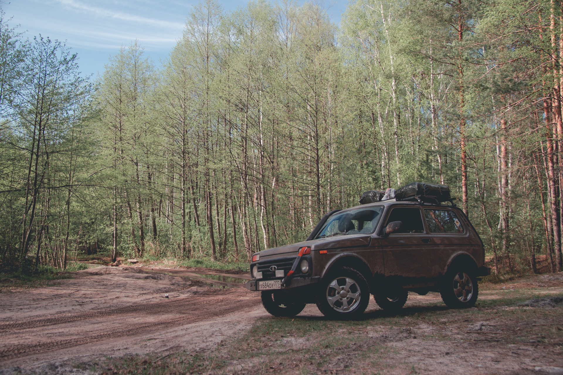 Весенний лес, лужа и пень - Lada 4x4 3D, 1,7 л, 2015 года покатушки DRIVE2