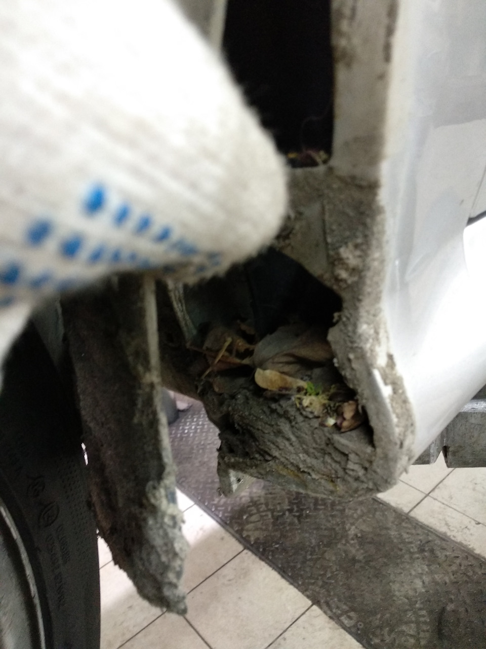 Удаление резонатора+Т.О. — Skoda Octavia A4 Mk1, 1,8 л, 2008 года ...