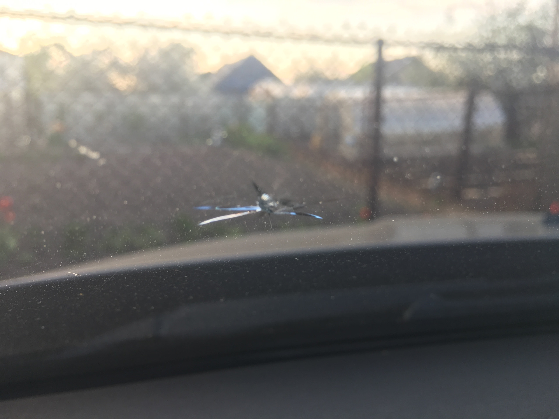 Ремонт лобового стекла — Сообщество «DRIVE2 город Горький» на DRIVE2