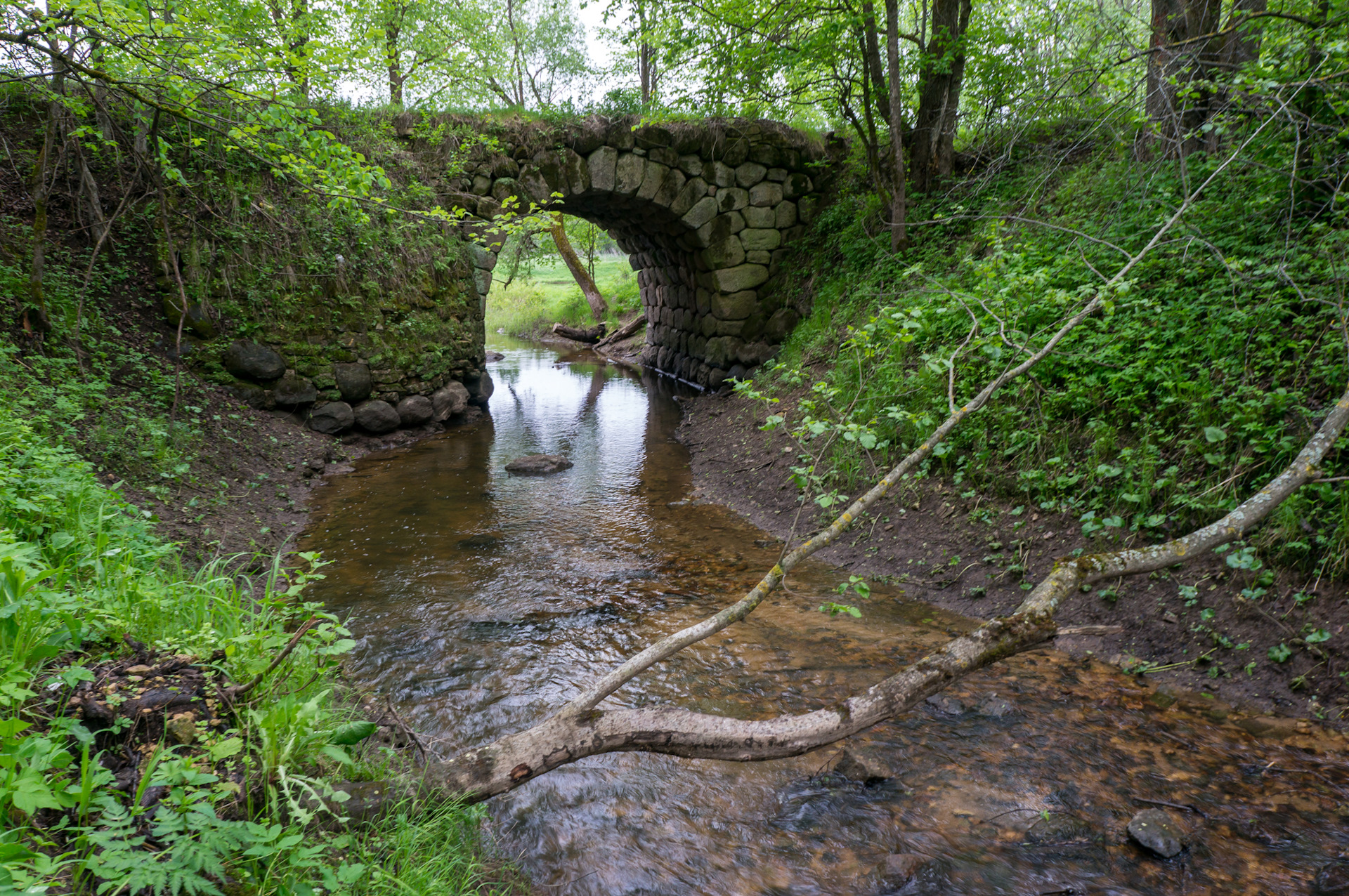 Деревня паника. Паника Торжокский район водопад. Паника Тверская область Торжокский район водопад. Водопад в д паника Торжокский район. Водопад в панике Торжок.