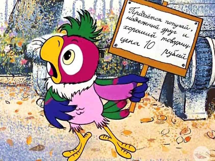 С днем рождения картинка с попугаями, тишина