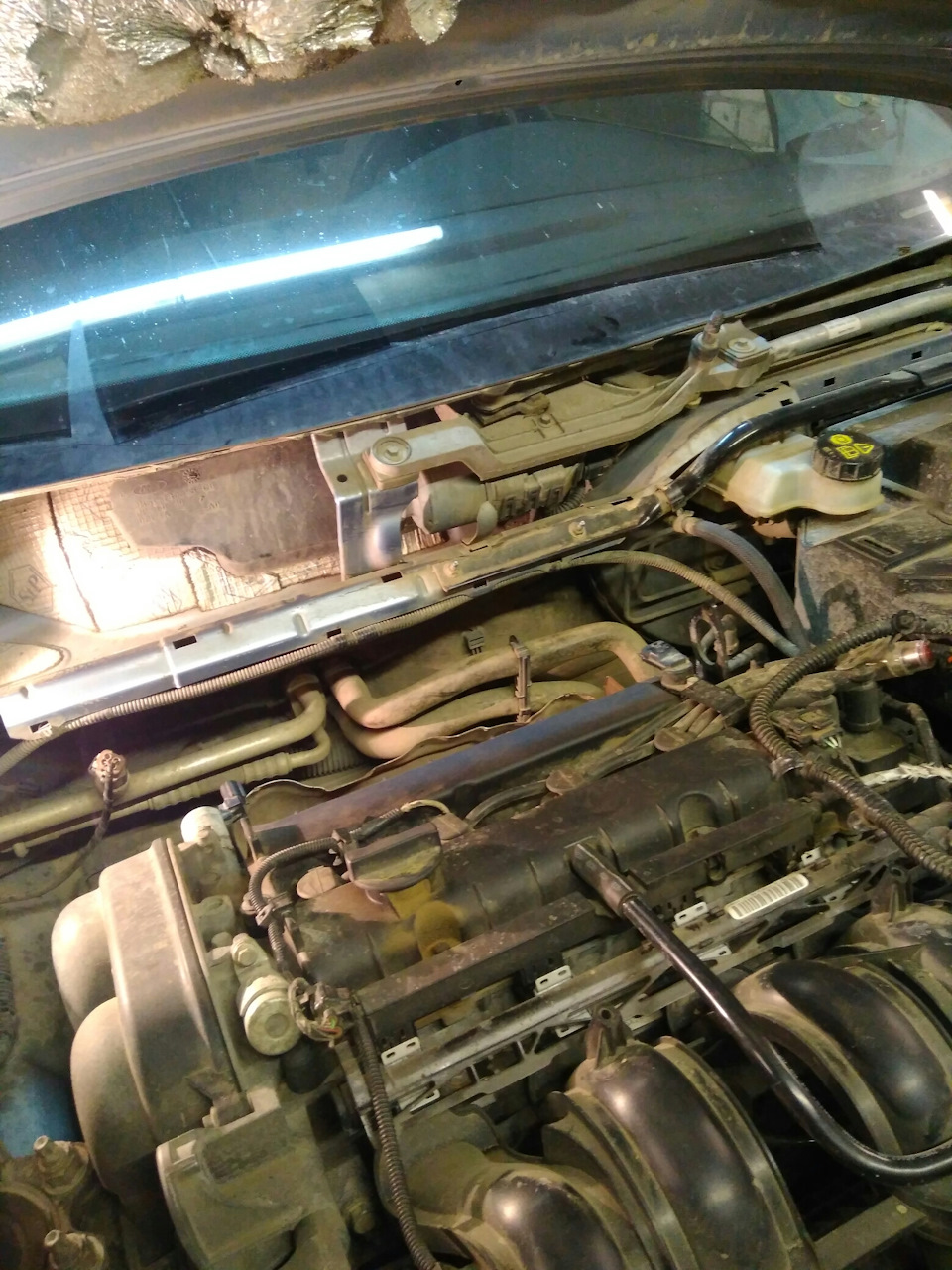 Замена гофры и удаление катализатора. Начало. — Ford Focus II Wagon, 1 ...