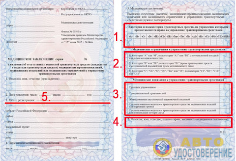 Как выглядит справка 003 оу Бортжурнал Ford Focus Hatchback