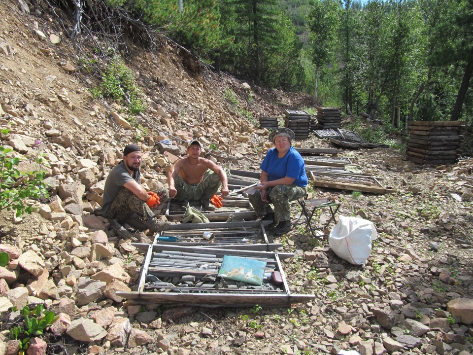 требуется геолог