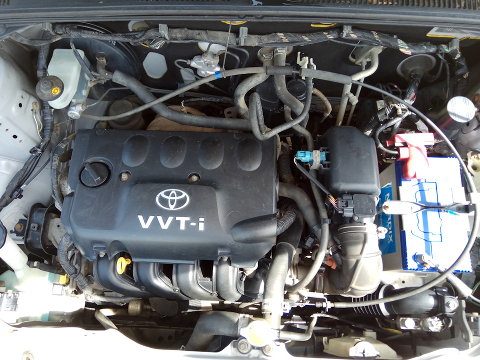 Фото в бортжурнале Toyota Succeed