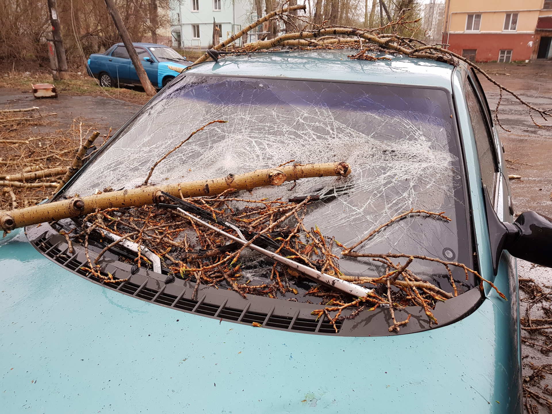 Бури сегодня в перми