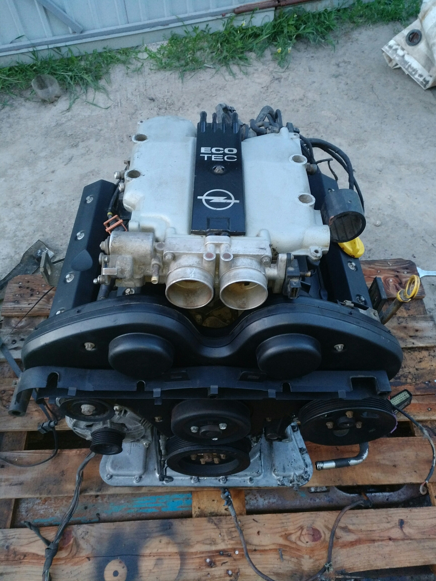 Опель омега б 2.5 v6. Опель Омега б 2.5 v6 двигатель. Мотор Опель Омега 2.5 v6. Мотор Опель Омега v6. Opel Omega b v6 , мотор.