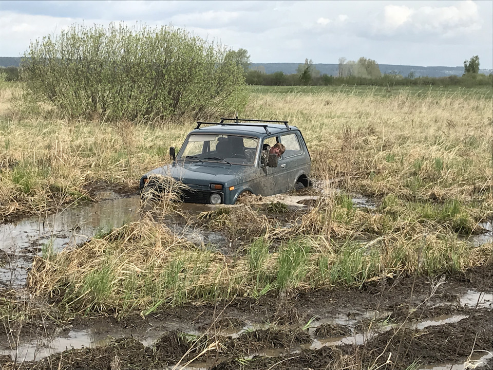 Зеленая нива едет под водой