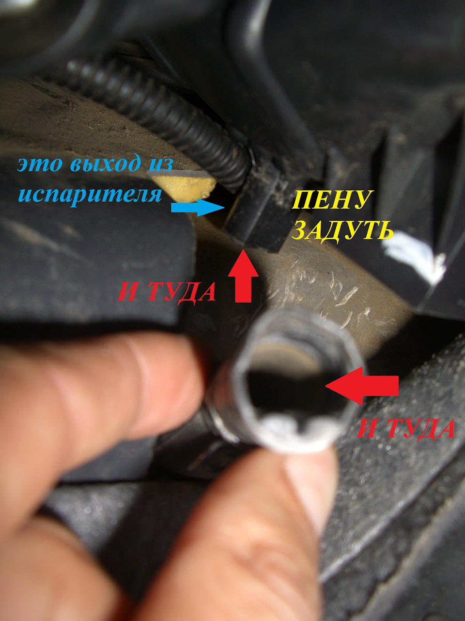 Фото в бортжурнале Hyundai Elantra (3G)