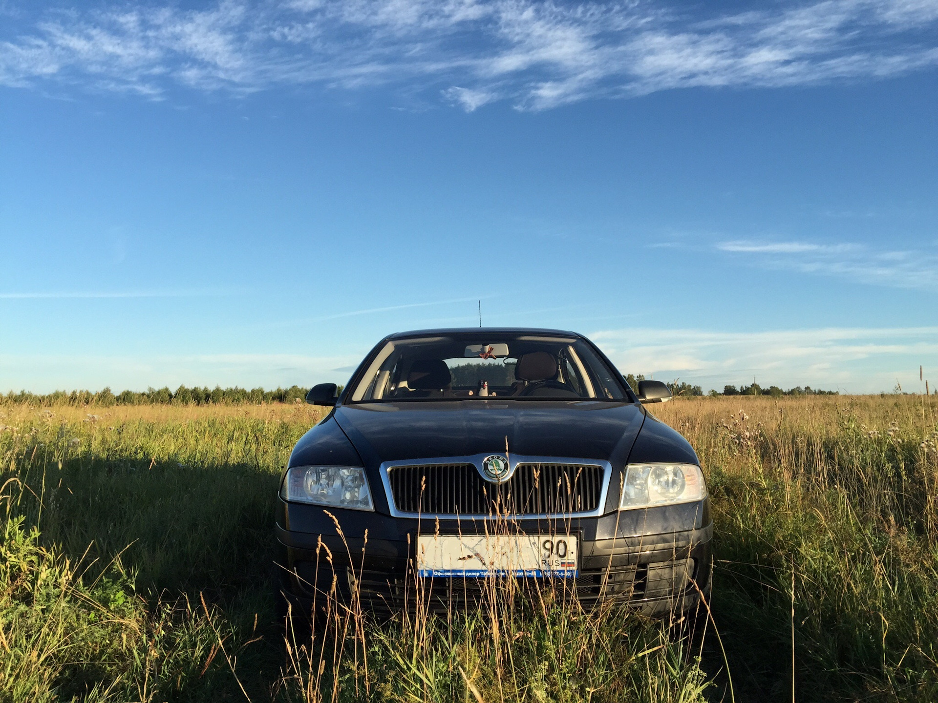 Запись 2. Как пересесть из Октавии в Рапид и обратно. — Skoda Octavia A7  Mk3, 1,6 л, 2018 года | покупка машины | DRIVE2