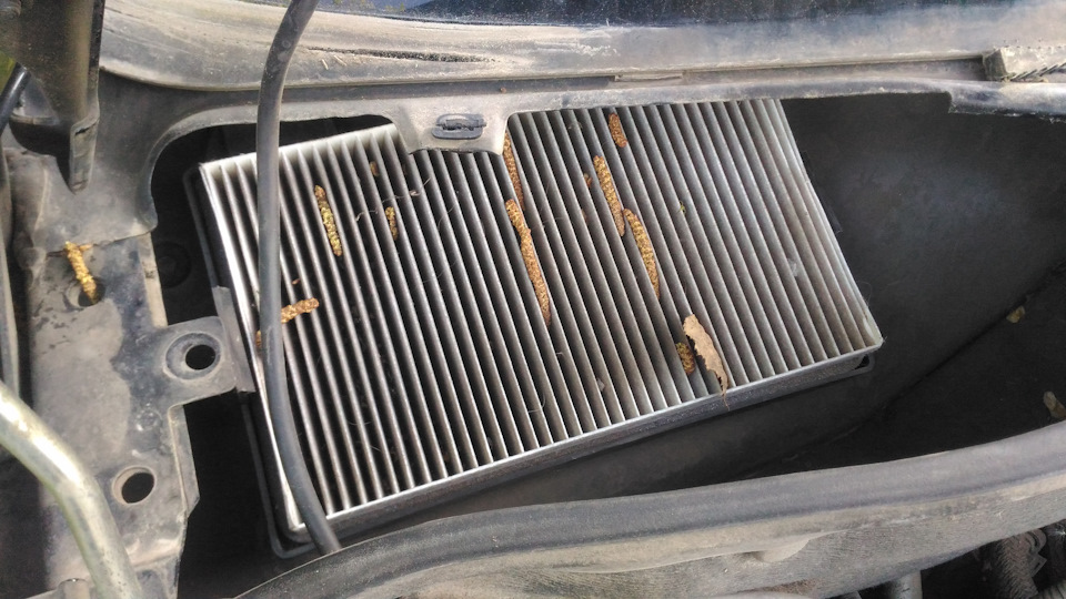 Замена воздушного фильтра. — Lada Гранта, 1,6 л, 2014 года | просто так ...