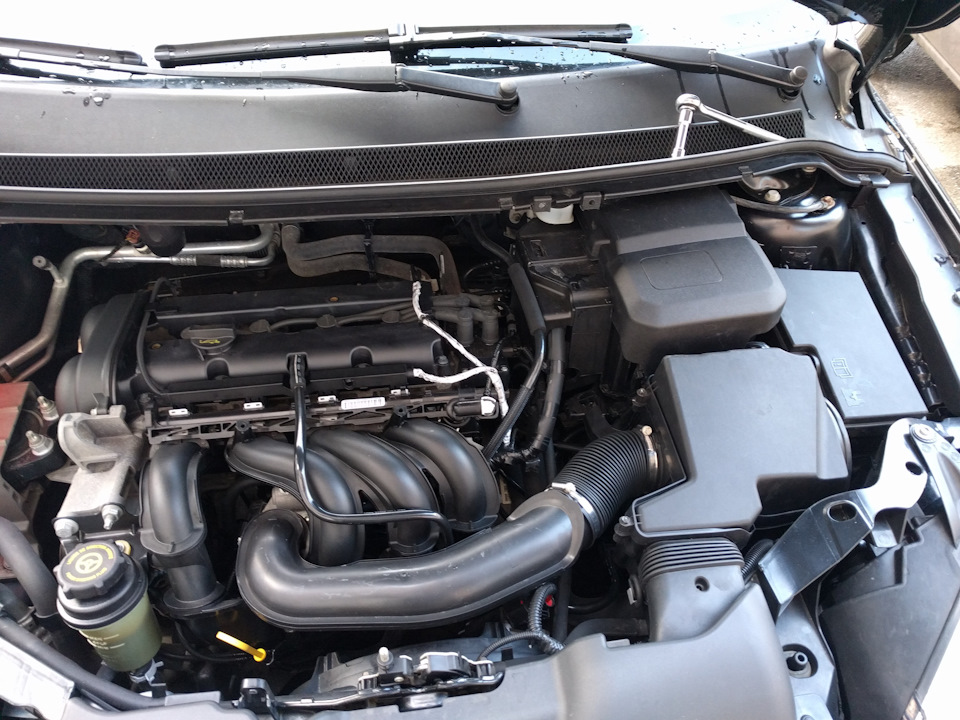 Аккумулятор Forse 60Ah — Ford Focus Hatchback II, 1,6 л, 2007 года ...