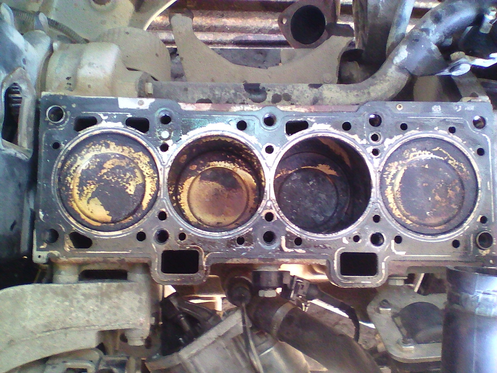 Капитальный ремонт двигателя 8 клапанов. Колпачки маслосъемные Калина 8 клапанная. Маслосъемные колпачки Гранта 8 клапанная. 11186 Маслосъемные кольца. ГБЦ 11186.