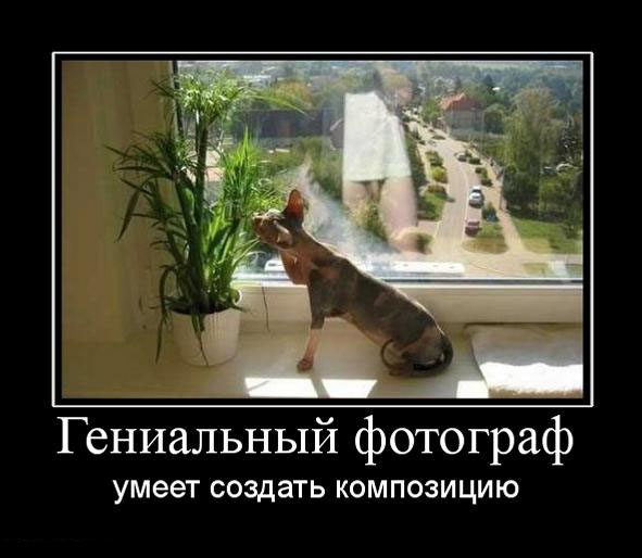Мемы про фотографов