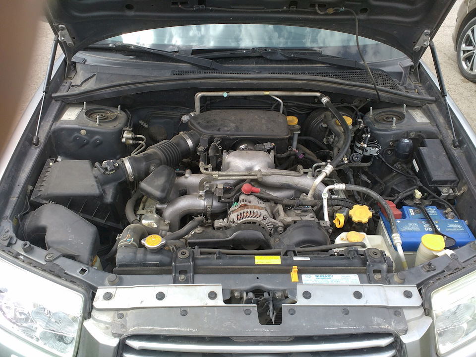 Subaru forester проблемы с двигателем