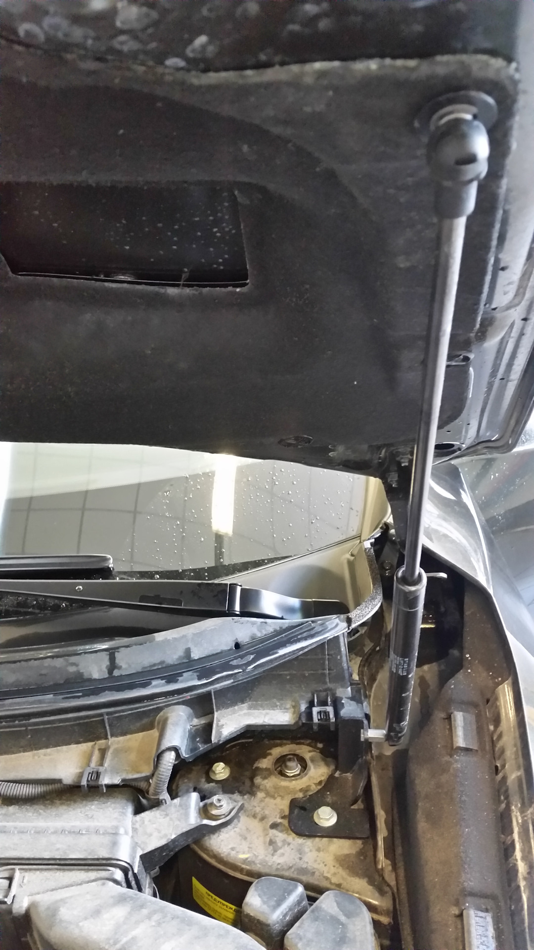 Упоры капота на своём месте — Nissan X-Trail III (t32), 2,5 л, 2016 ...
