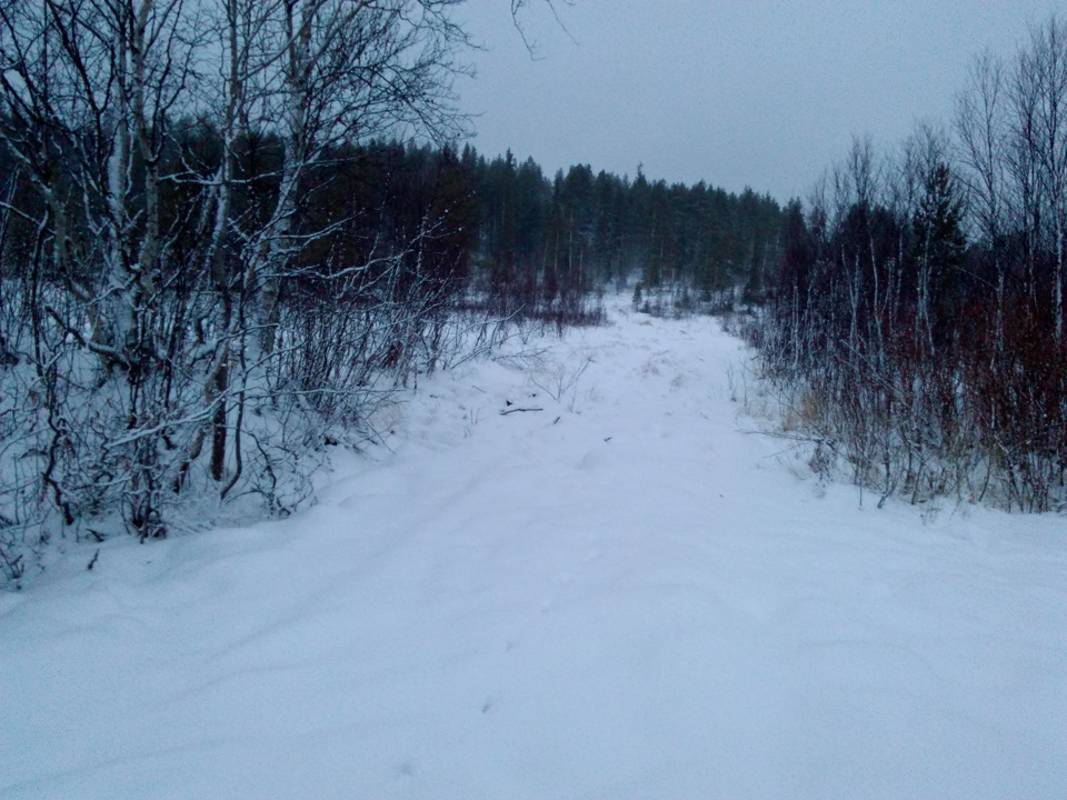 мелкий, п серебрянка мурманской обл фото свою очередь только