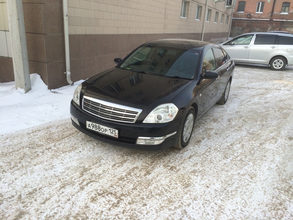 Новая решетка — Nissan Teana (J31), 2,3 л, 2007 года | тюнинг | DRIVE2