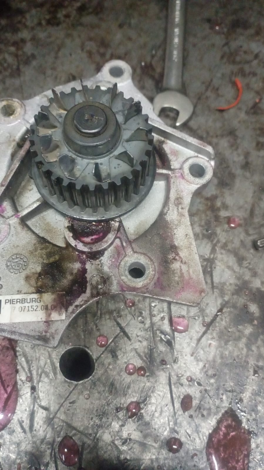 Течь антифриза. Масло в расширительном бачке. — Volkswagen Passat B6, 1 ...