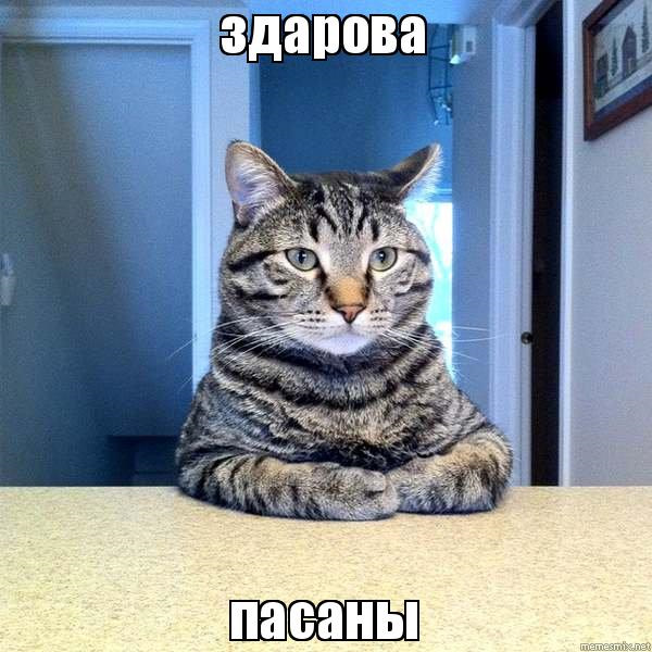 Фото в бортжурнале BMW 5 series (E39)