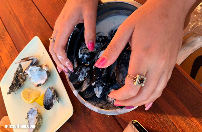 Устричная ферма — Устрицы Скифии — Mitsubishi Outlander XL, 2,4 л, 2008 ...