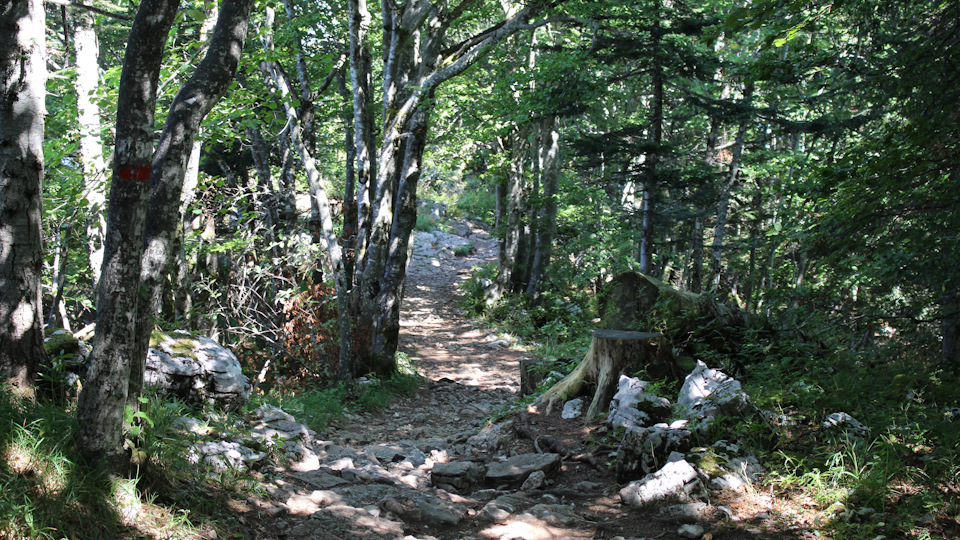 Тропа очень каменистая – нужна хорошая обувь. Как-раз потестил новые кроссовки. — Audi A4 (B9)