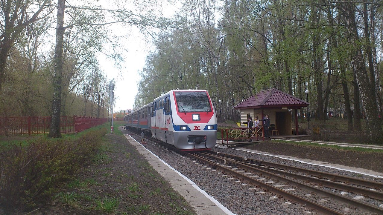 Поезда береза город. Новомосковская ДЖД 2010. Тульская ДЖД. Станция Березки Новомосковская детская железная дорога. Ту10.