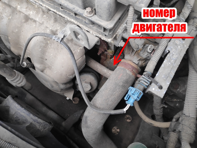 Киа крылатское автомир авто с пробегом. Смотреть фото Киа крылатское автомир авто с пробегом. Смотреть картинку Киа крылатское автомир авто с пробегом. Картинка про Киа крылатское автомир авто с пробегом. Фото Киа крылатское автомир авто с пробегом