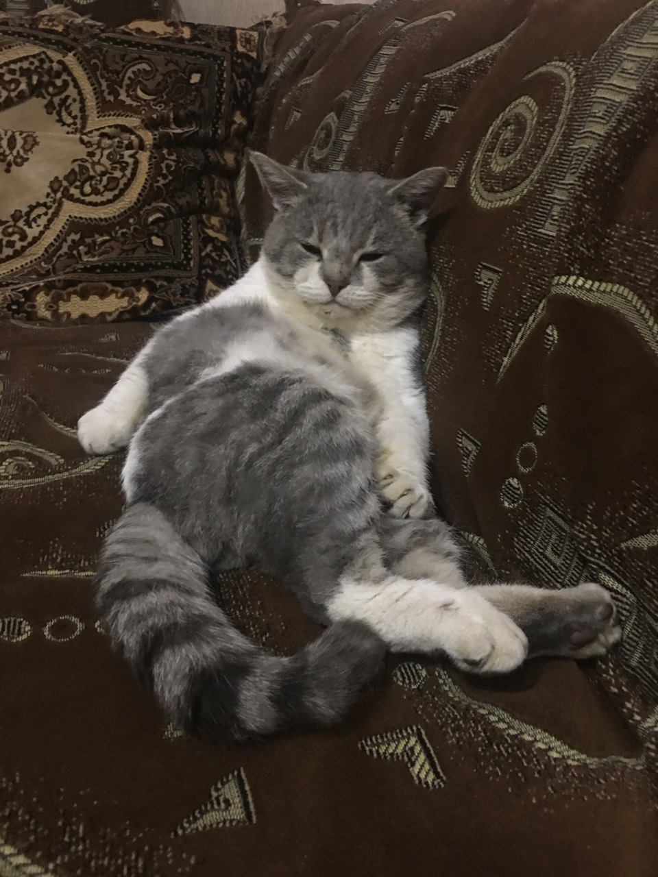 Замена задней ступицы Шкода Октавия А5 — Skoda Octavia A5 Mk2, 1,8 л ...