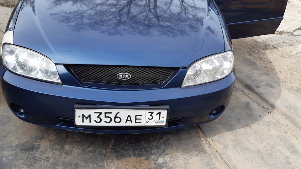 Масло — KIA Spectra, 1,6 л, 2008 года | просто так | DRIVE2