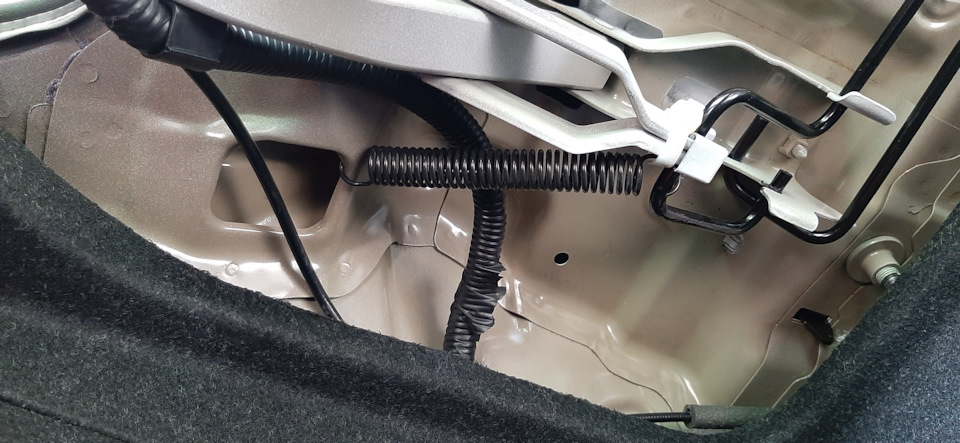 Полное открытие багажника Elantra AD рестайлинг 2019 — Hyundai Elantra ...