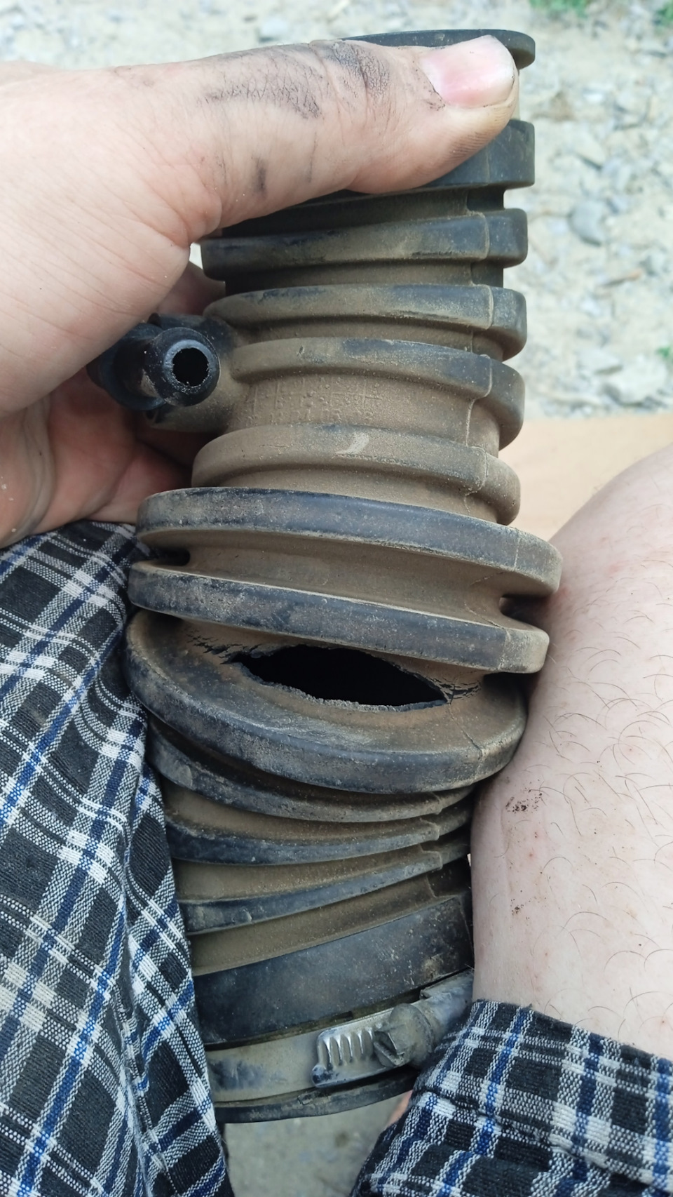 Свист из под капота. — DRIVE2