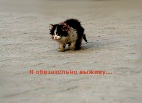 6p5o5gc3BorF9CzE0-5aoAZrRzM-960.jpg