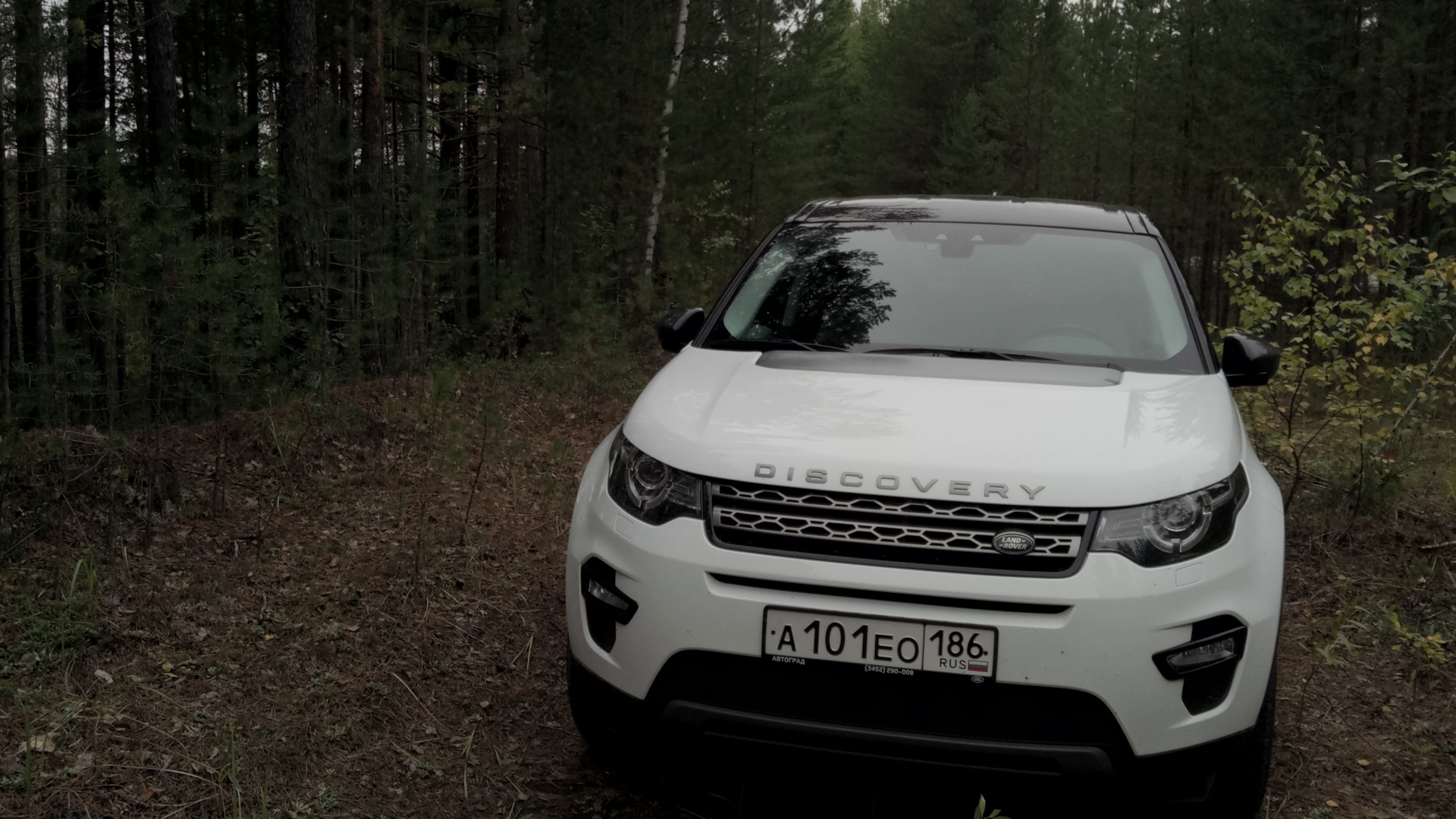 Land Rover Discovery Sport (1G) 2.0 дизельный 2017 | Special Edition на  DRIVE2