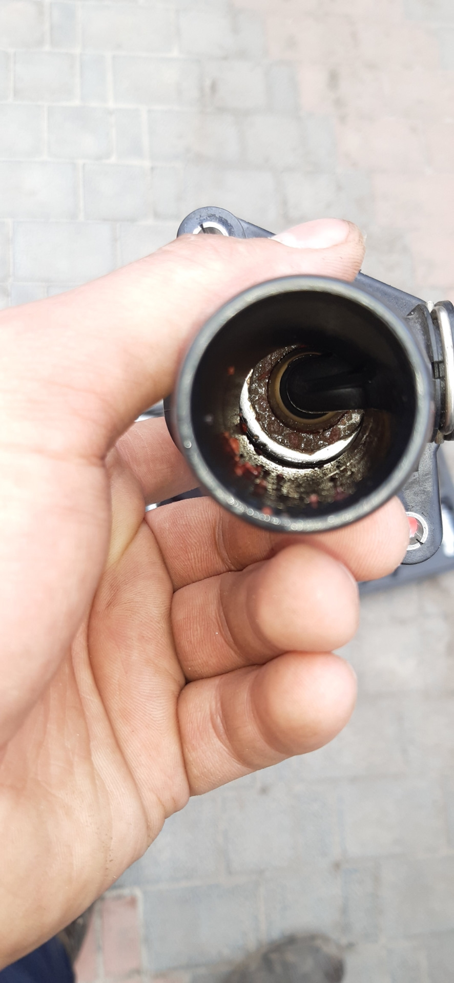 Вот и первая поломка. Термостат — Skoda Octavia Combi Mk1, 1,6 л., 2004 ...