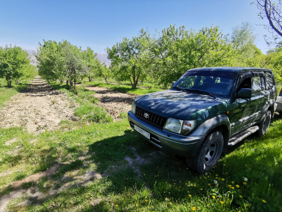 Использование по назначению😄 — Toyota Land Cruiser Prado 90-series, 3,4 ...