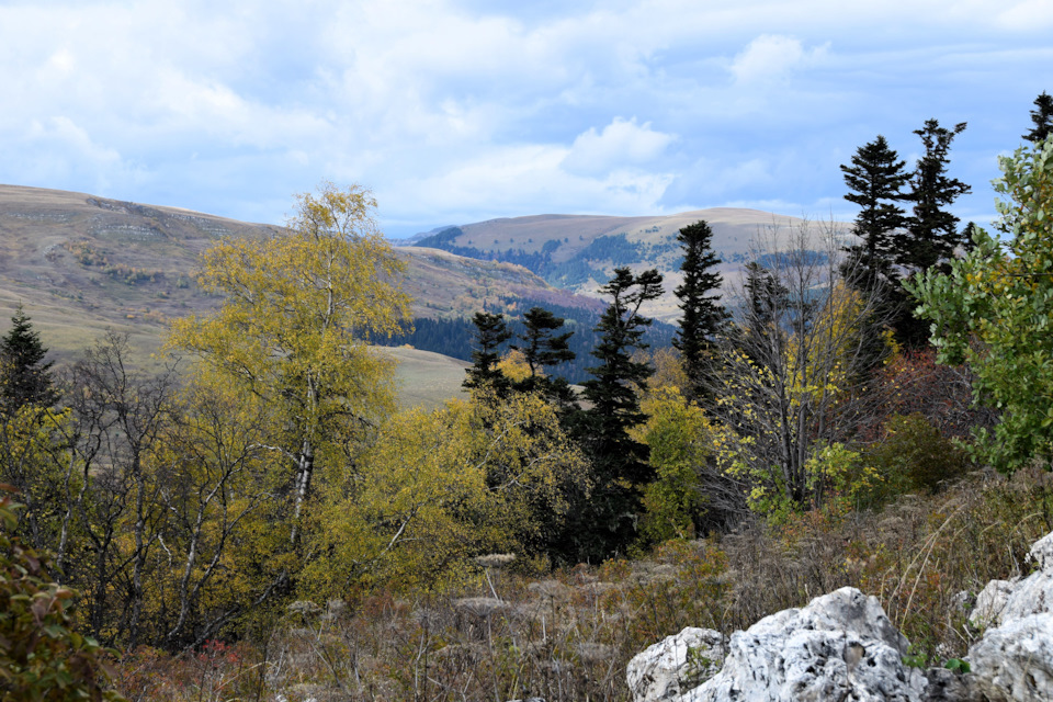 Фото в бортжурнале Renault Duster (1G)