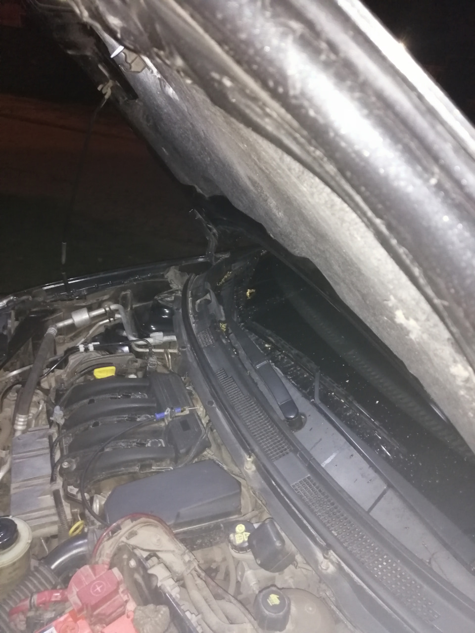 Фото в бортжурнале Nissan Almera V (G11/15)