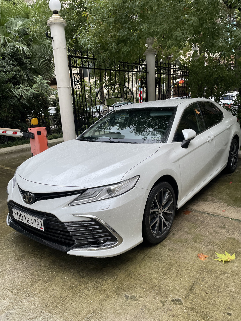 Сочи 2.09.2021г. — Toyota Camry (XV70), 2,5 л, 2021 года | эвакуация |  DRIVE2