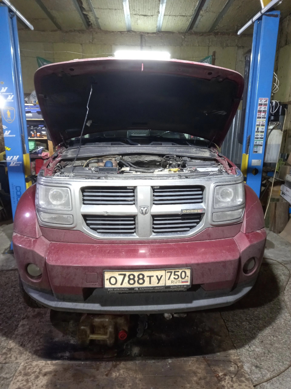 Фото в бортжурнале Dodge Nitro