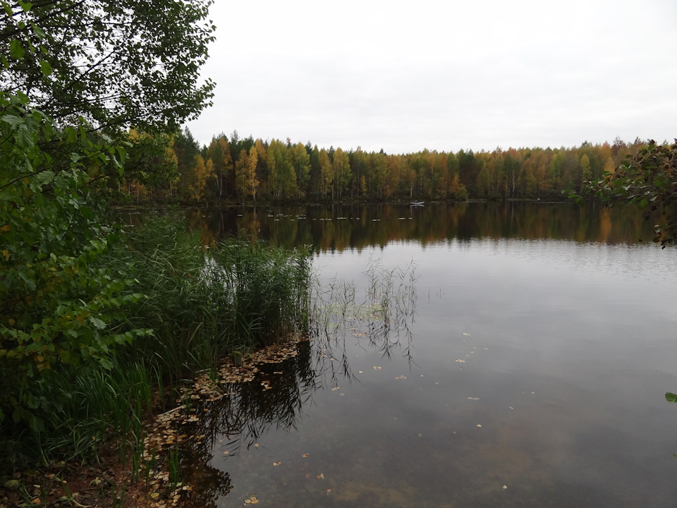 Озеро Сумка и река м. Кокшага — УАЗ Patriot, 2,7 л, 2013 года | покатушки |  DRIVE2