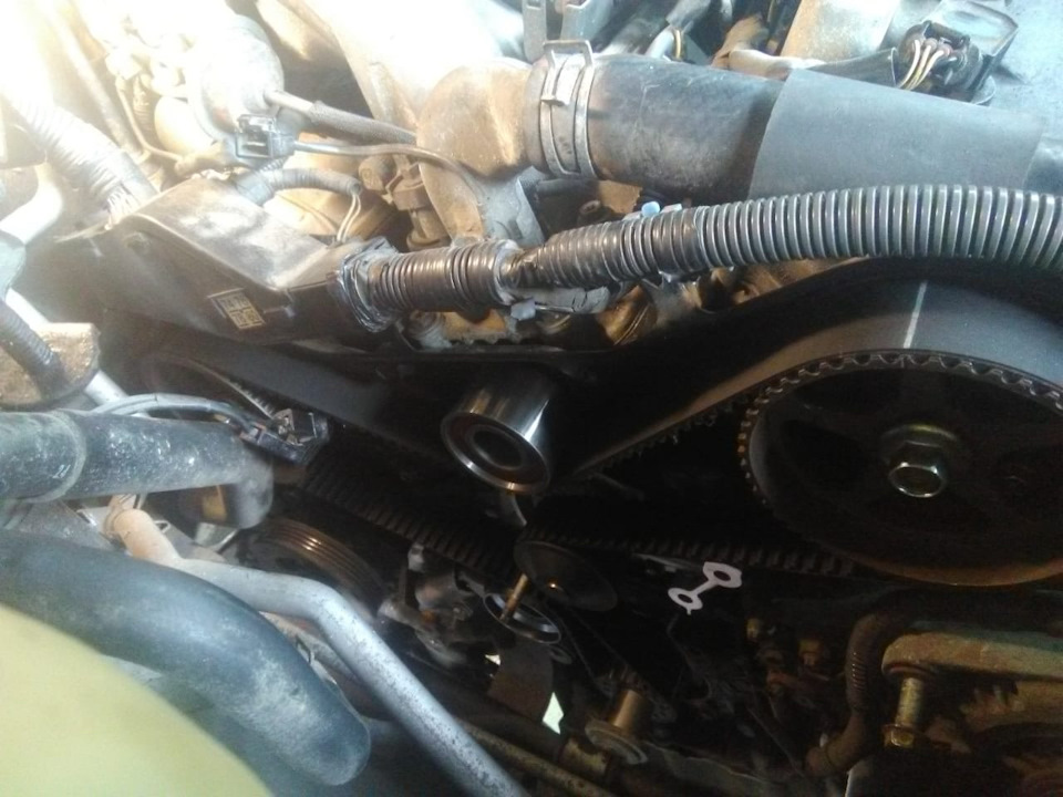 Фото в бортжурнале Toyota Highlander (XU20)