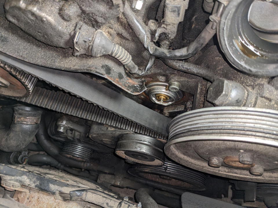 Замена корпуса термостата без снятия ГРМ — Audi A6 (C5), 2,7 л, 2002 ...